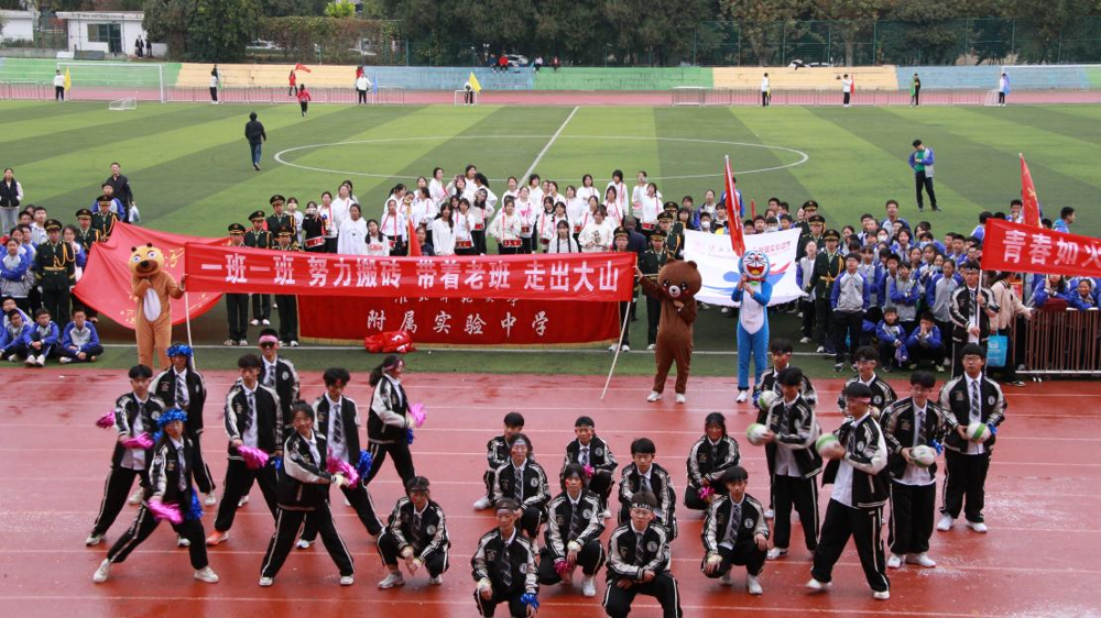 d3c64016c74441098a34b536479a8919.png