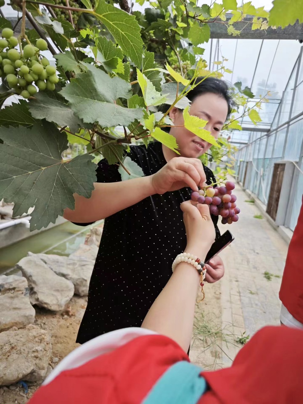 44a79e7ec3c04f11874a2a9de7271304.jpg 44a79e7ec3c04f11874a2a9de7271304.jpg