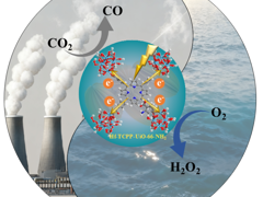 【学术论文】徐蕴课题组研究工作在《Journal of Colloid and Interface Science》上发表