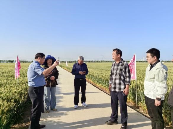 de8f577eb5184f9bbc3bf1c72610006c.jpg de8f577eb5184f9bbc3bf1c72610006c.jpg